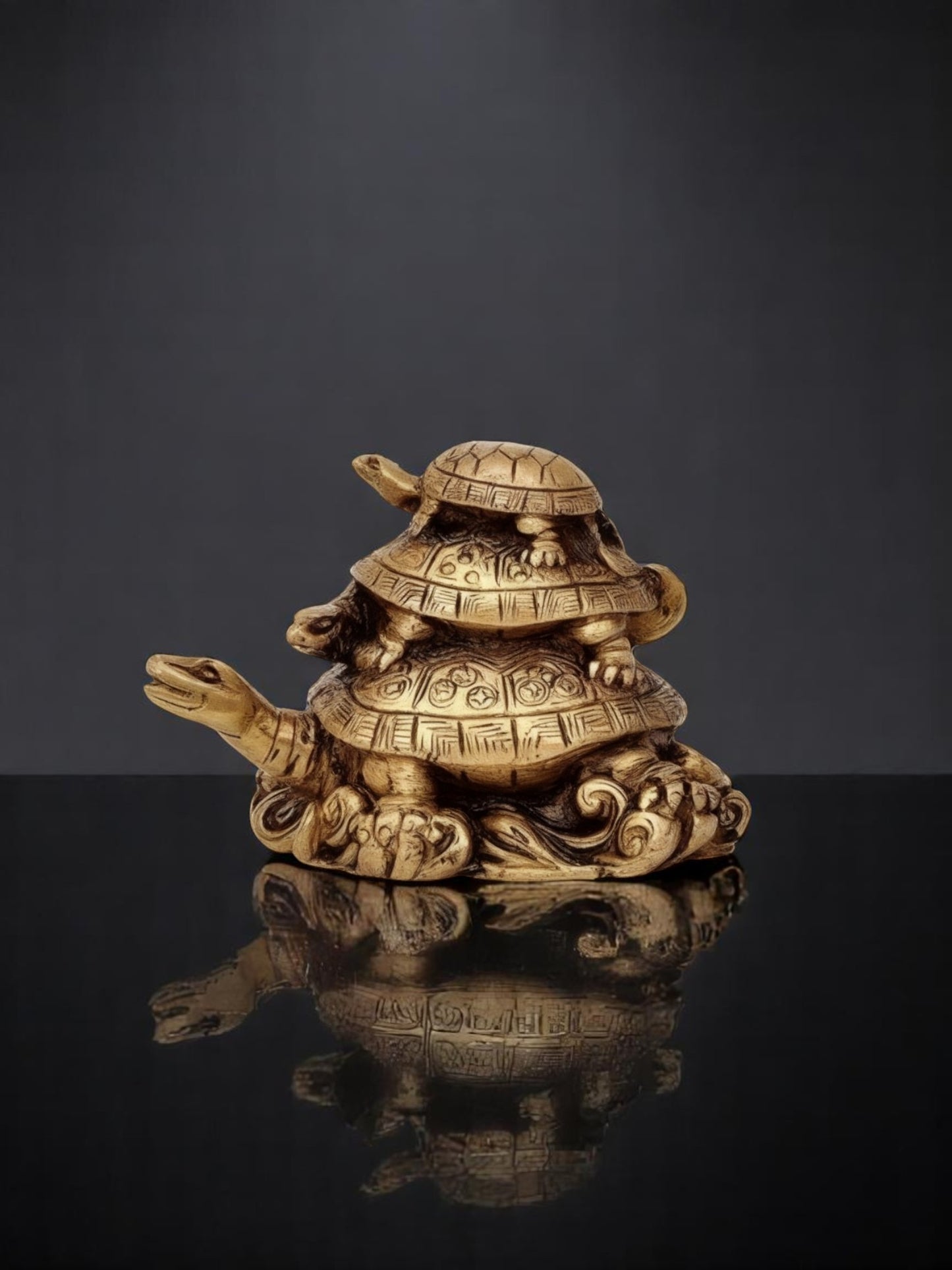 Three Tiered Turtle/Tortoise Family