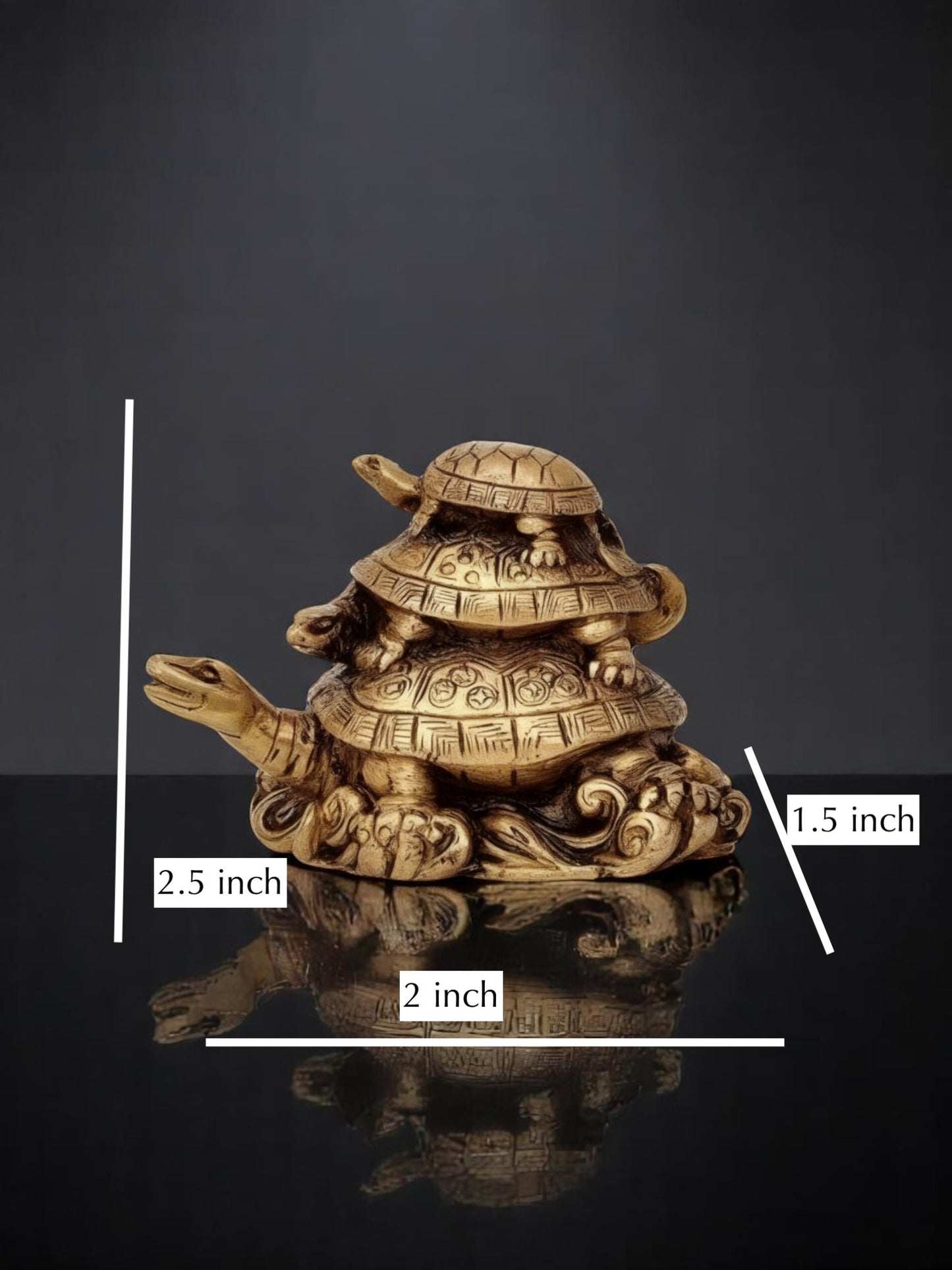 Three Tiered Turtle/Tortoise Family