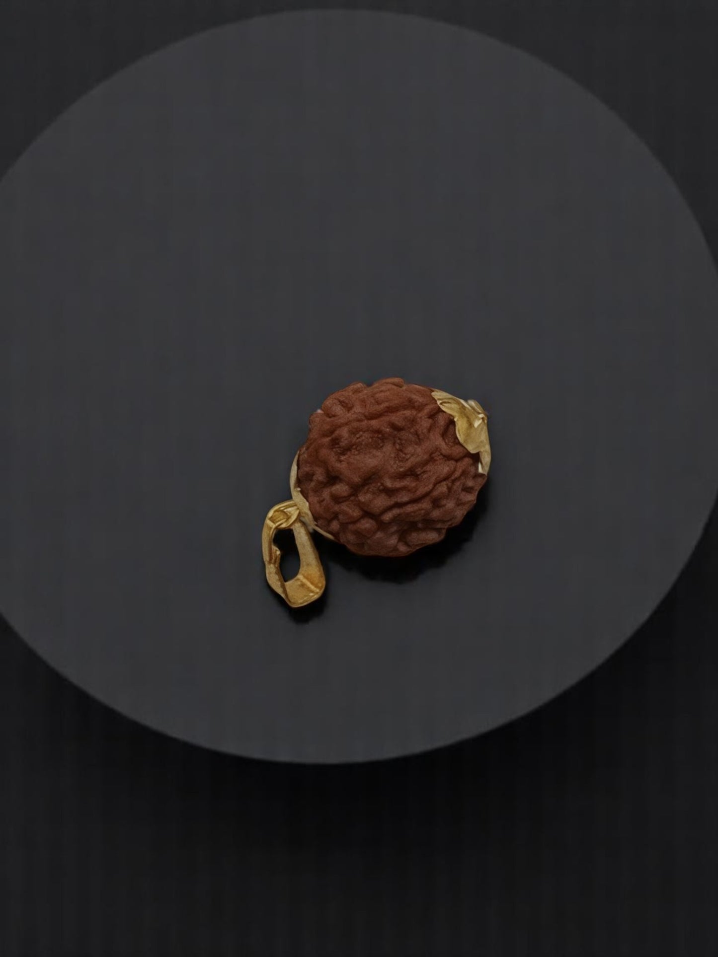 7 Mukhi Nepali Rudraksha