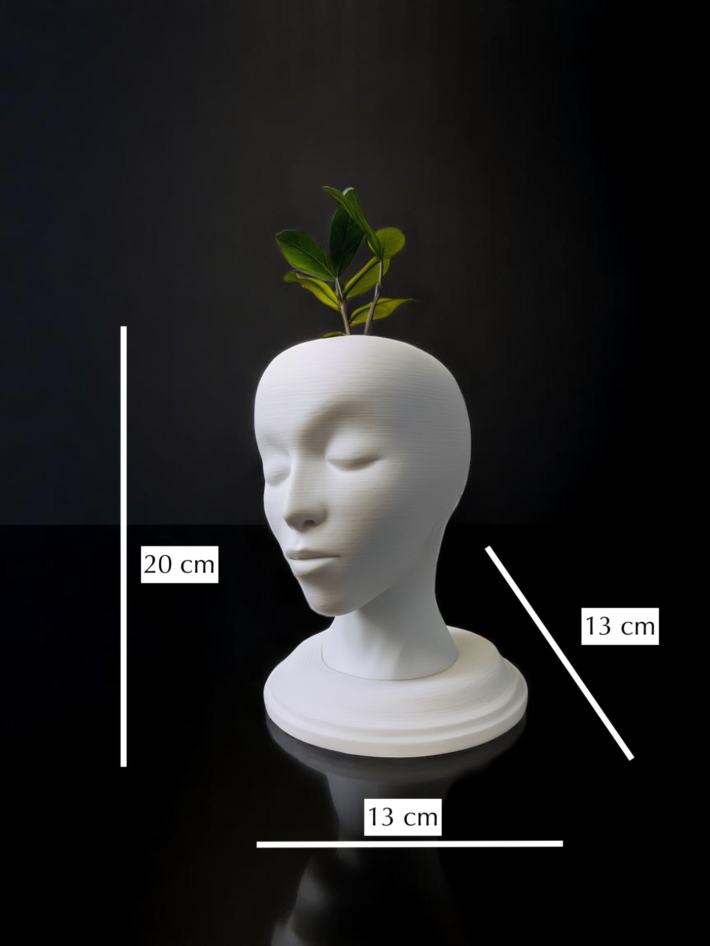 3D printed Vase | Home Decor | Gift Ideas | Interior Decoration