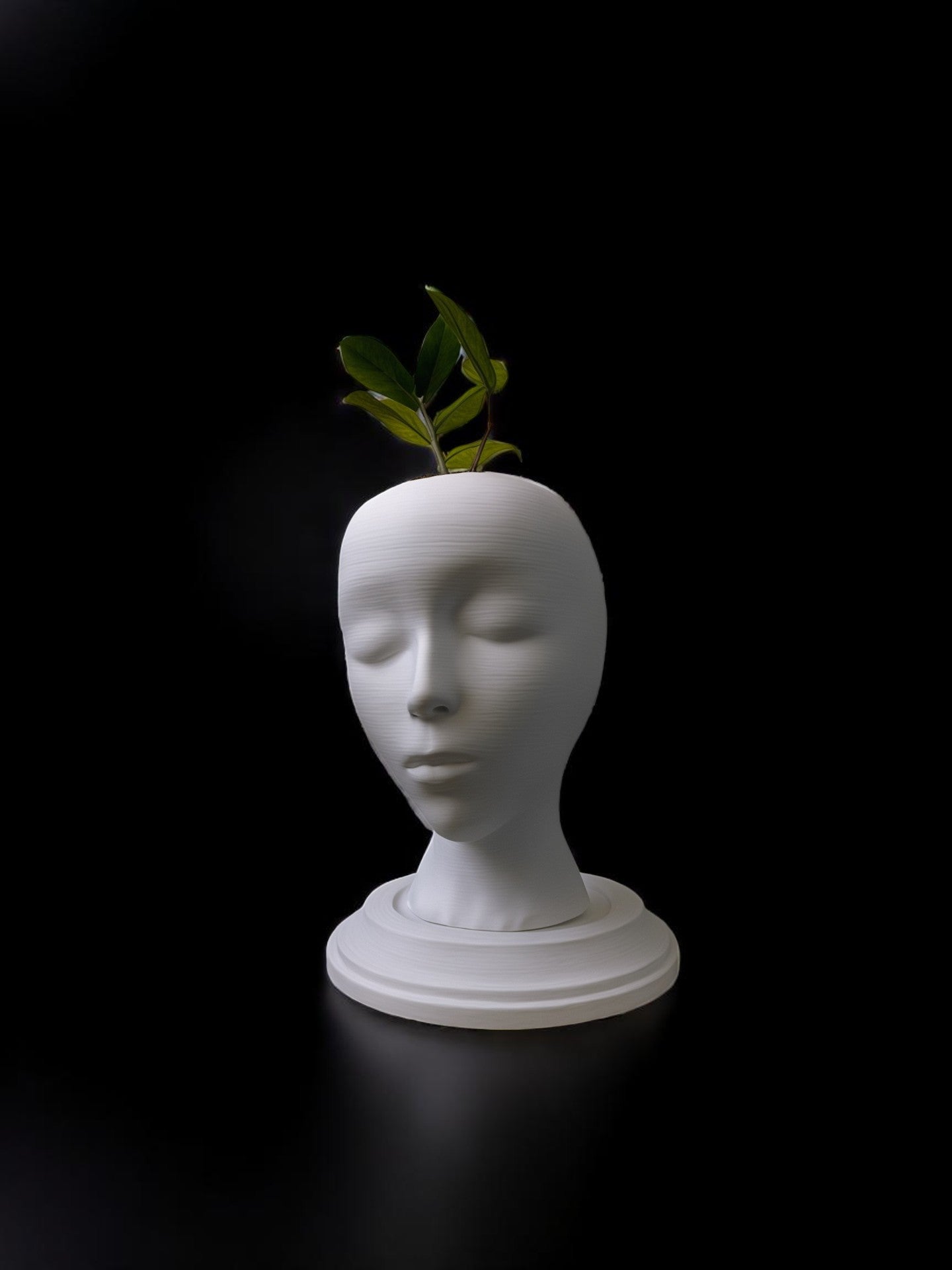 3D printed Vase | Home Decor | Gift Ideas | Interior Decoration