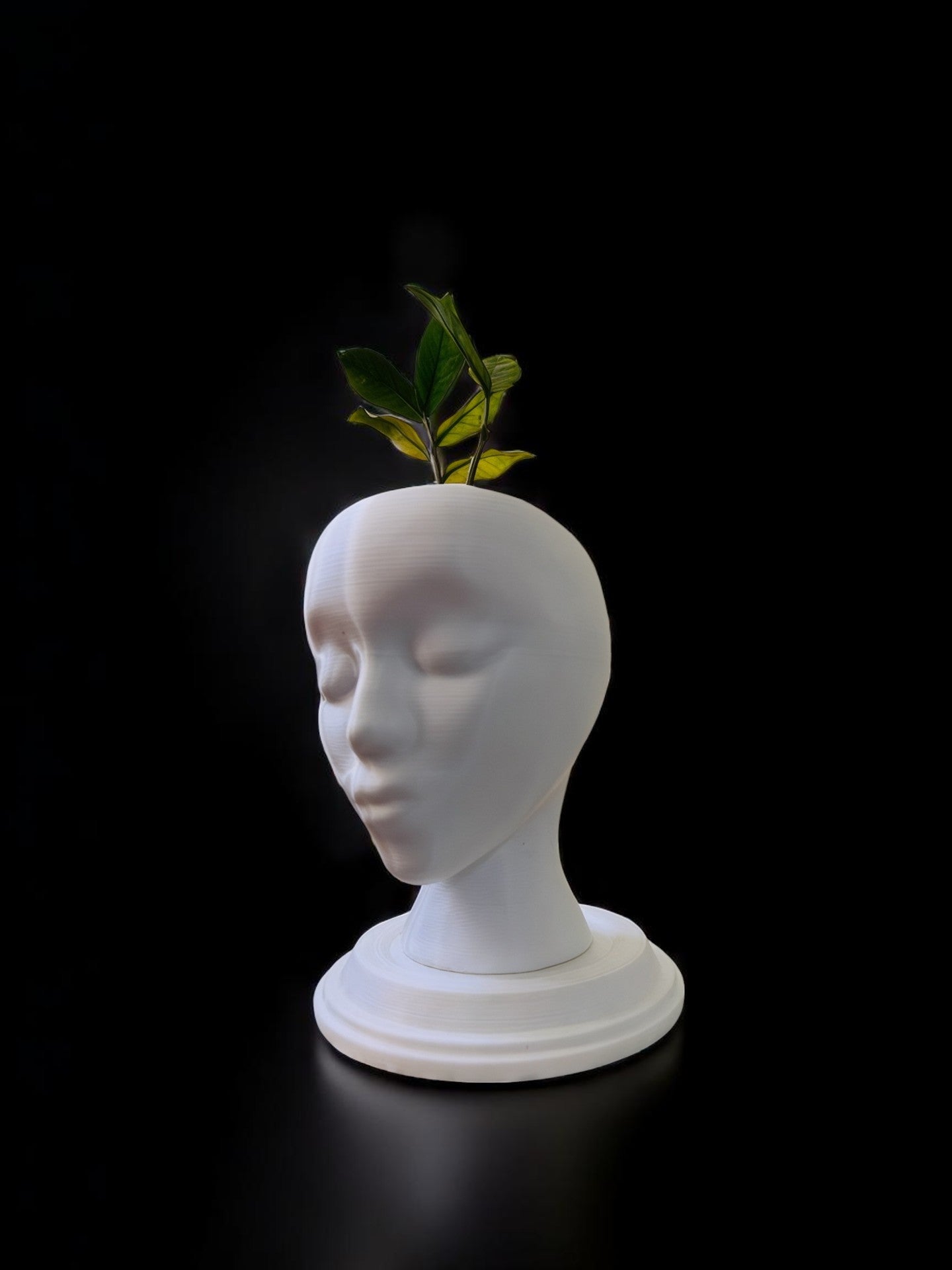 3D printed Vase | Home Decor | Gift Ideas | Interior Decoration