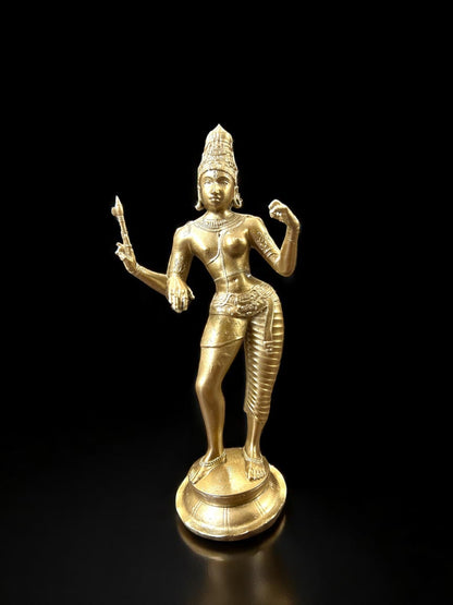 Divine Ardhanarishvara