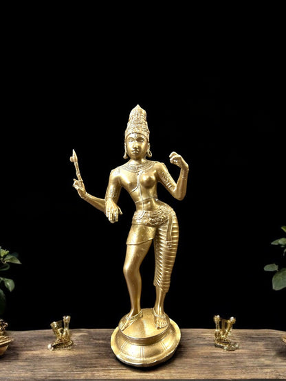 Divine Ardhanarishvara