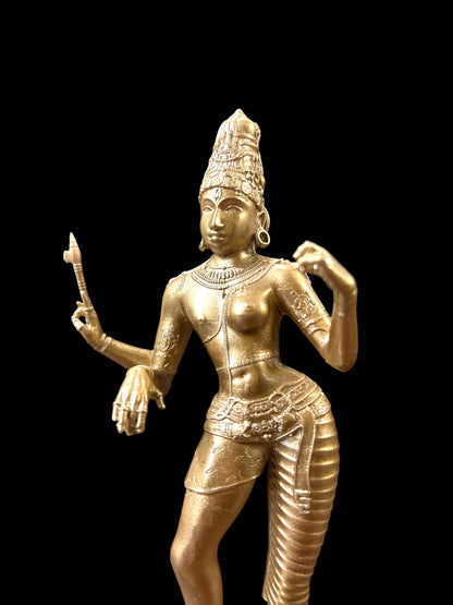 Divine Ardhanarishvara