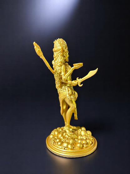 Maa Kaali Idol