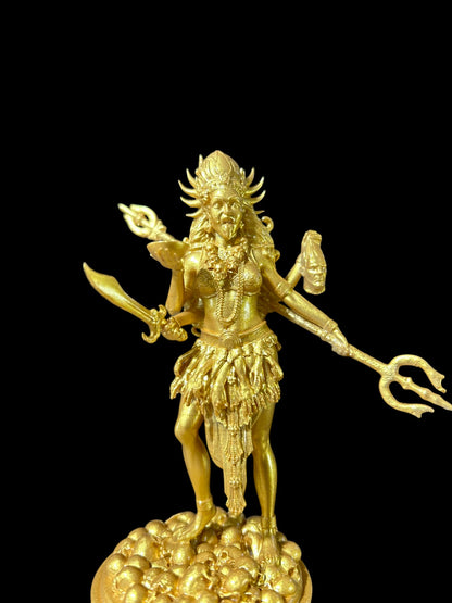 Maa Kaali Idol