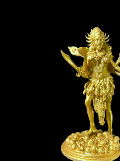 Maa Kaali Idol