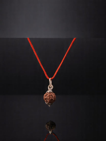 7 Mukhi Nepali Rudraksha