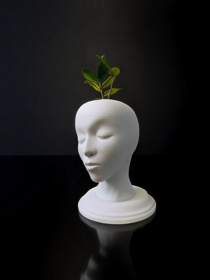 3D printed Vase | Home Decor | Gift Ideas | Interior Decoration