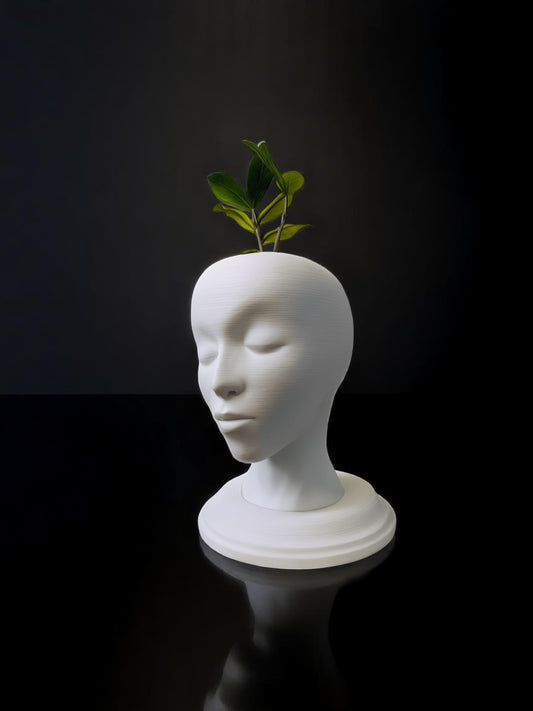 3D printed Vase | Home Decor | Gift Ideas | Interior Decoration